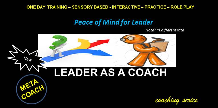 Leader as a Coach